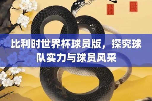 比利时世界杯球员版，探究球队实力与球员风采