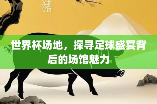 世界杯场眉山市正发家政服务有限公司地，探寻足球盛宴背后的场馆魅力