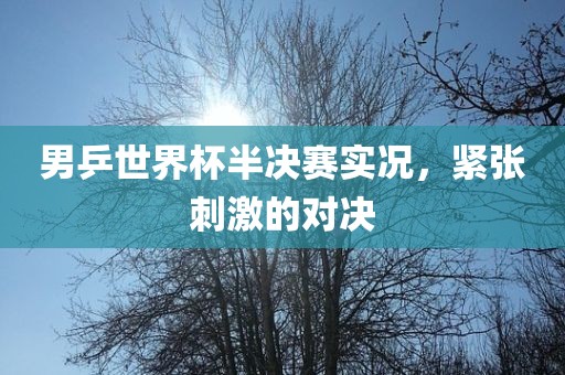 男乒世界杯半决赛实况，紧张刺激的对决