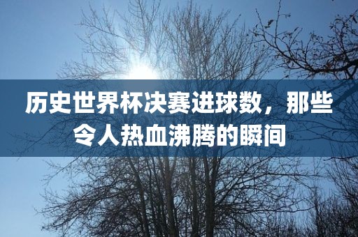 历史世界杯决赛进球数，那些令人热血沸腾的瞬间