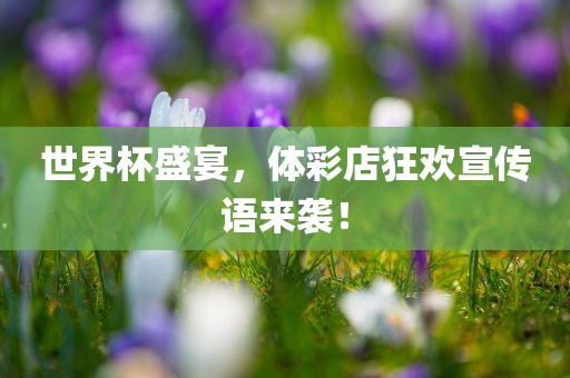 世界杯盛宴，体彩店狂欢宣传语来袭！