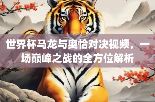 世界杯马龙与奥恰对决视频，一场巅峰之战的全方位解析