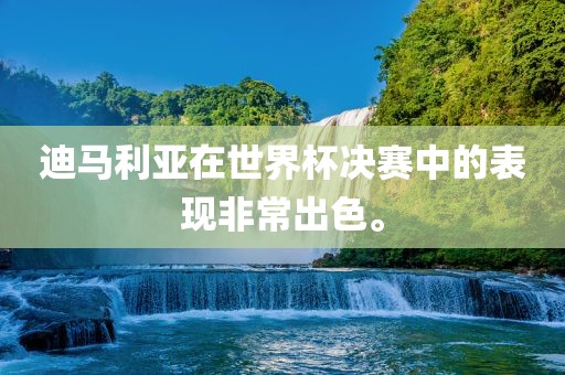 迪马利亚在世界杯决赛中的表现非常出色。眉山市正发家政服务有限公司