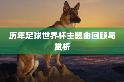 历年足球世界杯主题曲回顾与赏析