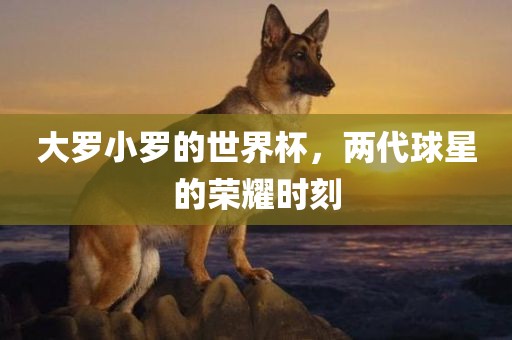 大罗小罗的世界杯，两代球星的荣耀时刻