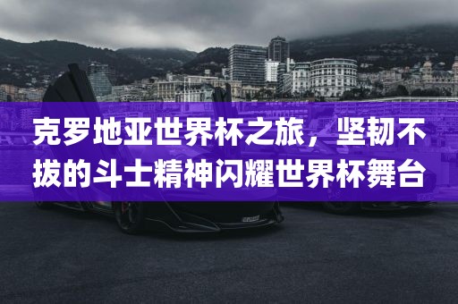 克罗地亚世界杯之旅，坚韧不拔的斗士精神闪耀世界杯舞台眉山市正发家政服务有限公司
