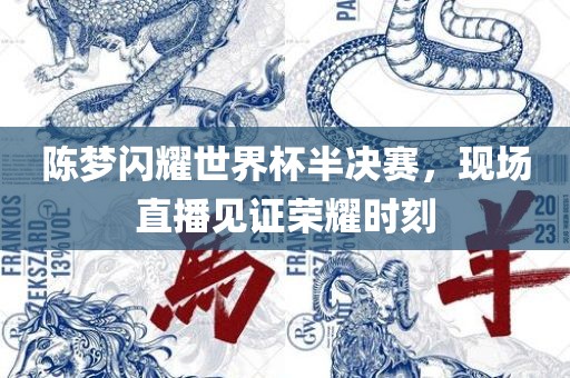 眉山市正发家政服务有限公司陈梦闪耀世界杯半决赛，现场直播见证荣耀时刻