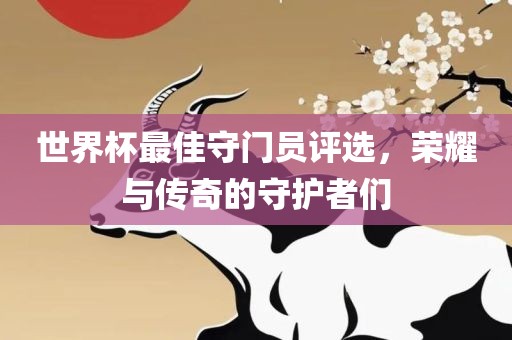 世界杯最佳守门员评选，荣耀与传奇的守护者们