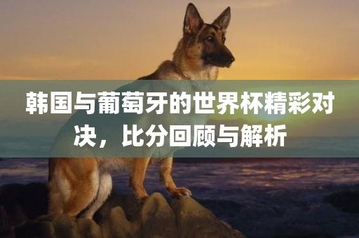 韩国与葡萄牙的世界杯精彩对决，比分回顾与解析