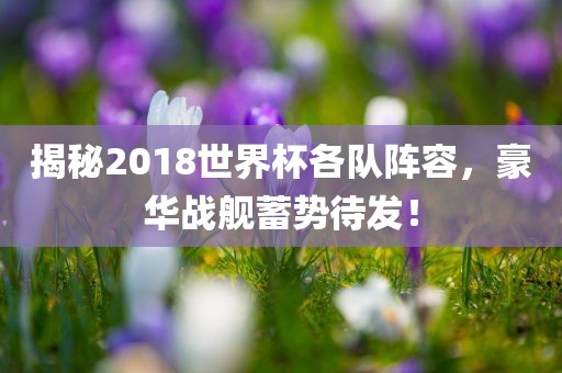揭秘2018世界杯各队阵容，豪华战舰蓄势待发！