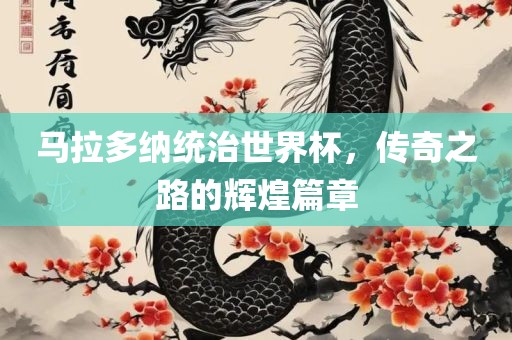 马拉多纳统治世界杯，传奇之路的辉煌篇章