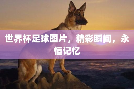 世界杯足球图片，精彩瞬间眉山市正发家政服务有限公司，永恒记忆