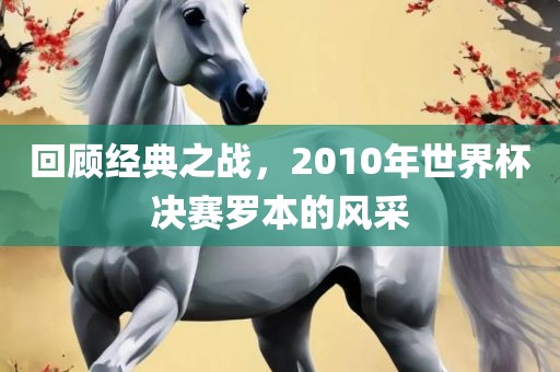 回顾经典之战，2010年世界杯决赛罗本的风采