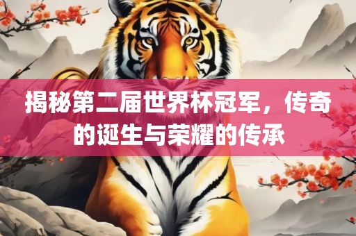 揭秘第二届世界杯冠军，传奇的诞生与荣耀的传承