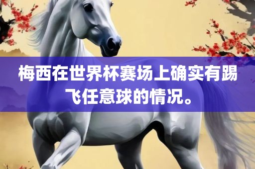 梅西在世界杯赛场上确实有踢飞任意球的情况。