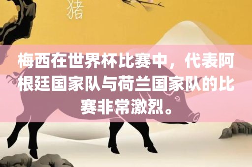 梅西在世界杯比赛中，代表阿根廷国家队与荷兰国家队的比赛非常激烈。