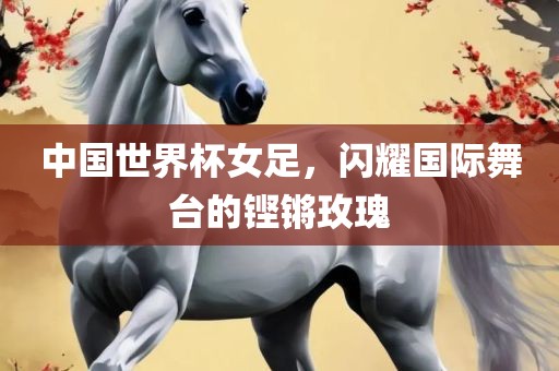 中国世界杯女足，闪耀国际眉山市正发家政服务有限公司舞台的铿锵玫瑰