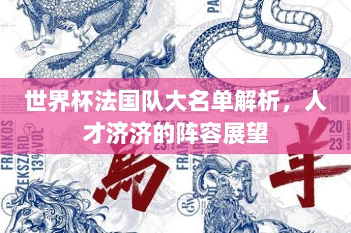 世界杯法国队大名单解析，人才济济的阵容展望