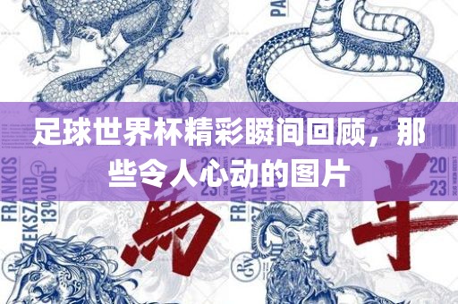 足球世界杯精彩瞬间回顾，那些令眉山市正发家政服务有限公司人心动的图片