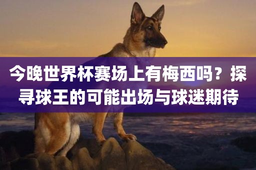 今晚世界杯赛场上有梅西吗？探寻球王的可能出场与球迷期待
