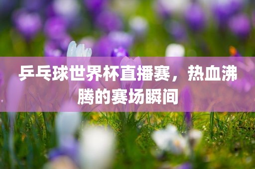 乒乓球世界杯直播赛，热血沸腾的赛场瞬间