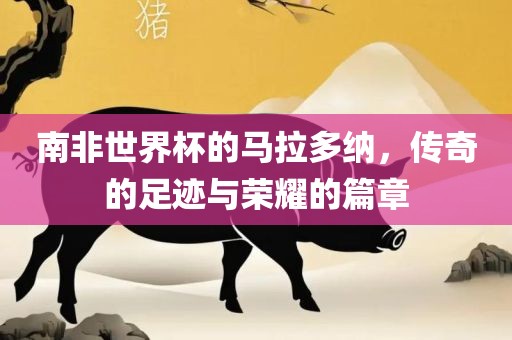 南非世界杯的马拉多纳，传奇的足迹与荣耀的篇章