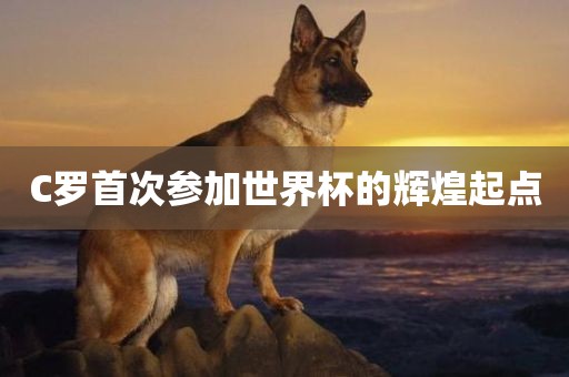 C罗首次参加世界杯的辉煌起点