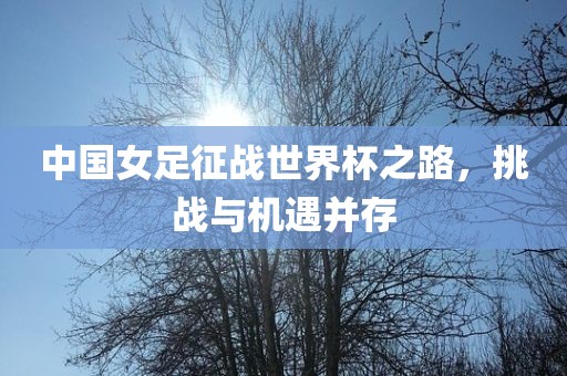 中国女足征战世界杯之路，挑战与机遇并存