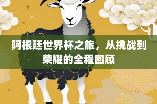 阿根廷世界杯之旅，从挑战到荣耀的全程回顾