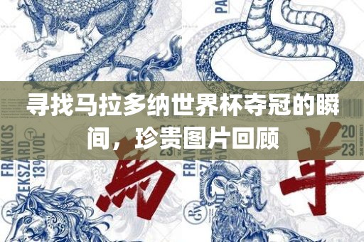 寻找马拉多纳世界杯夺冠的瞬间，珍贵图片回顾