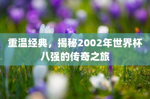 重温经典，揭秘2002年世界杯八强的传奇之旅