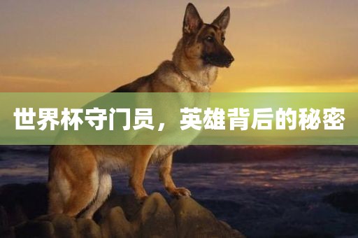 世界杯守门员，英雄背后的秘密