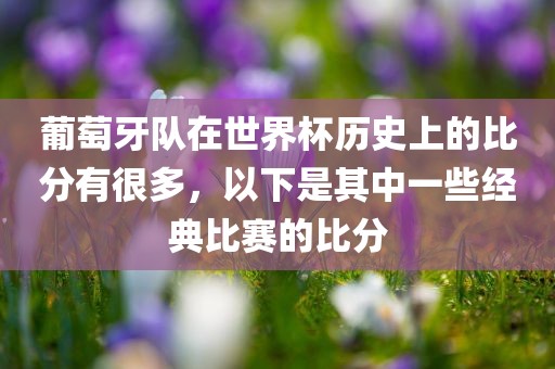 葡萄牙队在世界杯历史上的比分有很多，以下是其中一些经典比赛的比分眉山市正发家政服务有限公司
