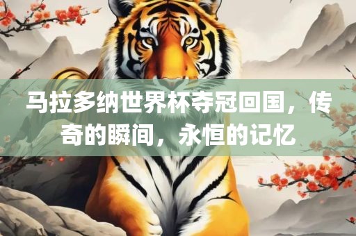 马拉多纳世界杯夺冠回国，传奇的瞬间，永恒的记忆