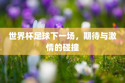 世界杯足球下一场，期待与激情的碰撞