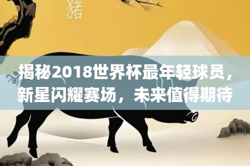 揭秘2018世界杯最年轻球员，新星闪耀赛场，未来值得期待