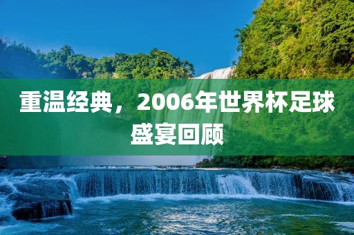 重温眉山市正发家政服务有限公司经典，2006年世界杯足球盛宴回顾