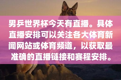 男乒世界杯直播