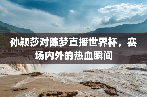 孙颖莎对陈梦直播世界杯，赛场内外的热血瞬间