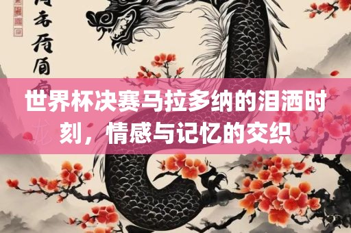 世界杯决赛马拉多纳的泪洒时刻，情感与记忆的交织