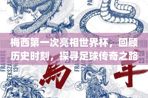 梅西第一次亮相世界杯，回顾历史时刻，探寻足球传奇之路