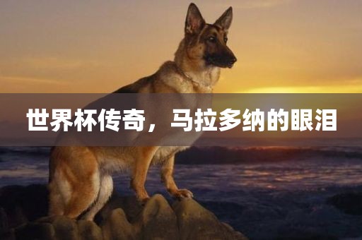 世界杯传奇，马拉多纳的眼泪