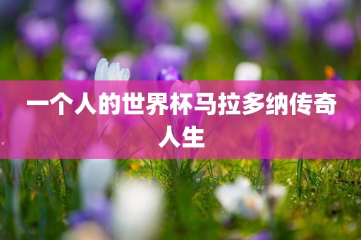一个人的世界杯马拉多纳传奇人生