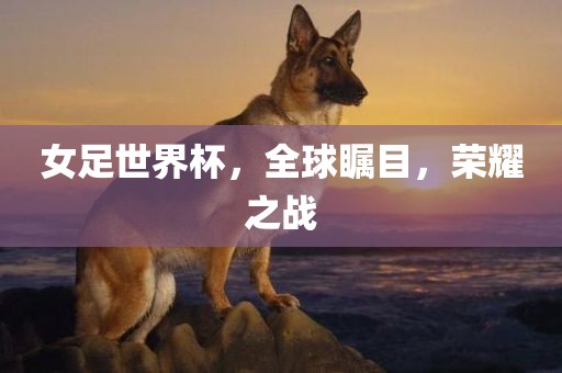 女足世界杯，全球瞩目，荣耀之战