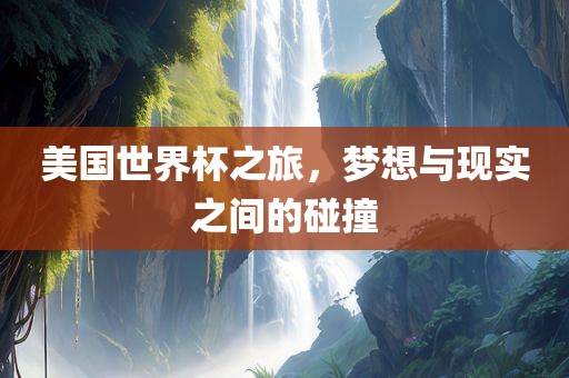 美国世界杯之旅，梦想与现实之间的碰撞