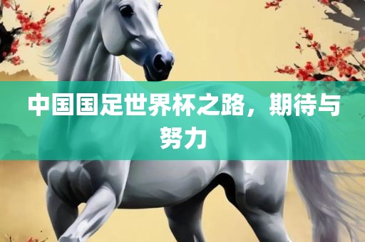中国国足世界杯之路，期待与努力眉山市正发家政服务有限公司