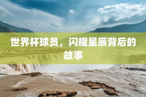 世界杯球员，闪耀星辰背后的故事