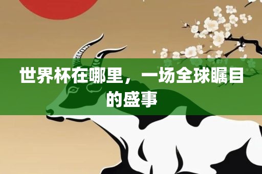 世界杯在哪里，一场全球瞩目的盛事