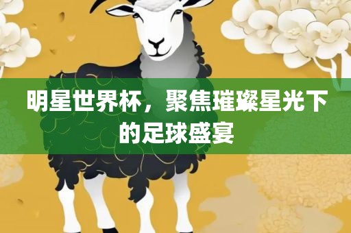 明星世界杯，聚焦璀璨星光下的足球盛宴
