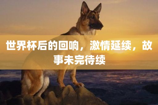 世界杯后的回响，激情延续，故事未完待续